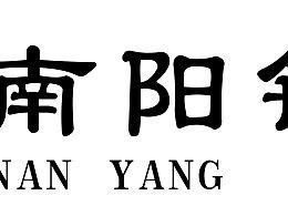 南阳银行最新爆料,揭秘金融创新与风险防控新动态  第2张