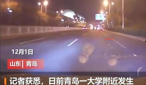 山东青岛爆料视频,揭秘城市生活背后的真实故事  第2张